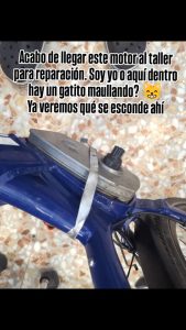 627064348 2306873336390666 2092040251914527474 n 1